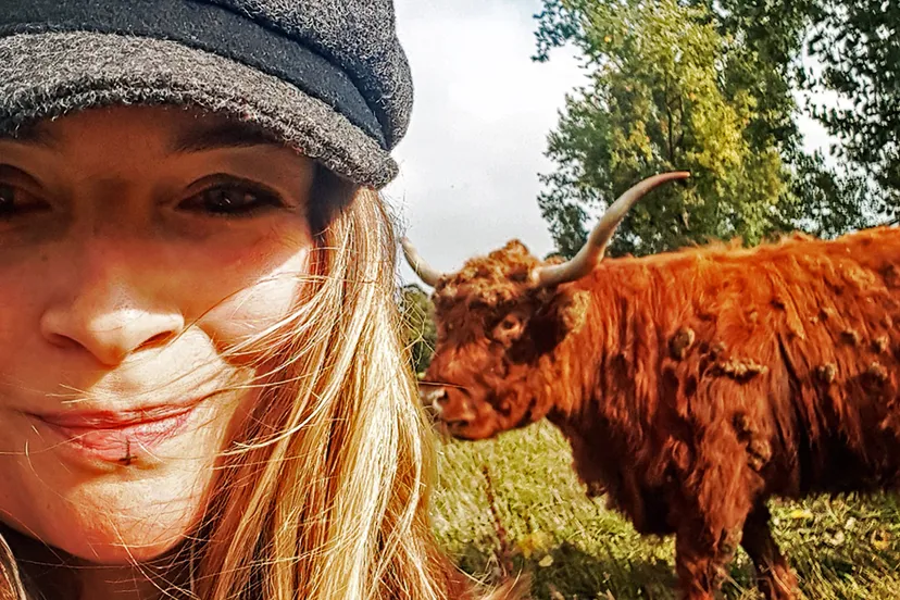 img 20181004 155403 994 cover