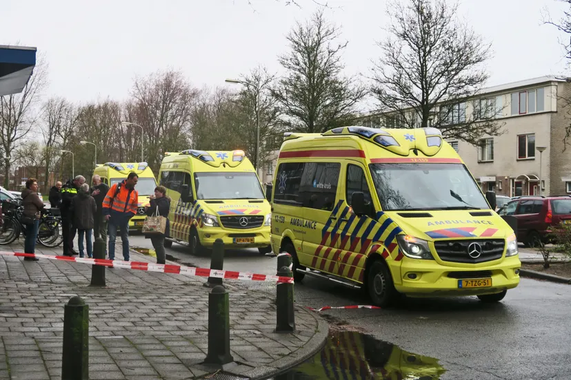 img 20190303 144430 440