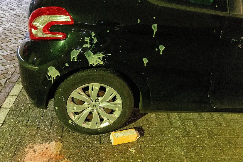 img 20240304 wa0009 copy 1968x1312