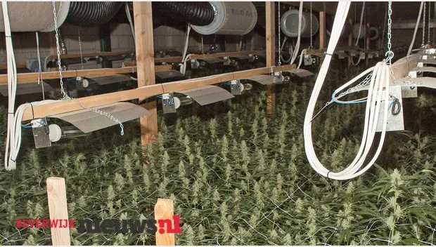 l3h62g4x0vuvedjq1lz4bzwtq 2014 11 2618 10 16