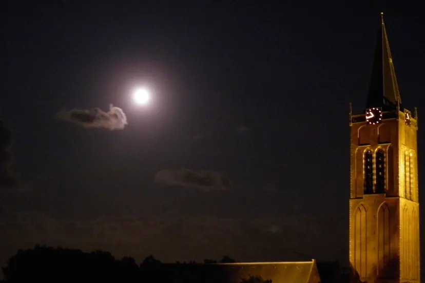 lizm22w2ybdm71hn7r3q6nbl1 p8103965