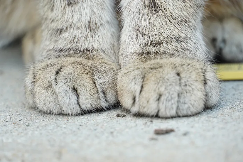 luba ertel d1 hwzgvdaa unsplash kopieren