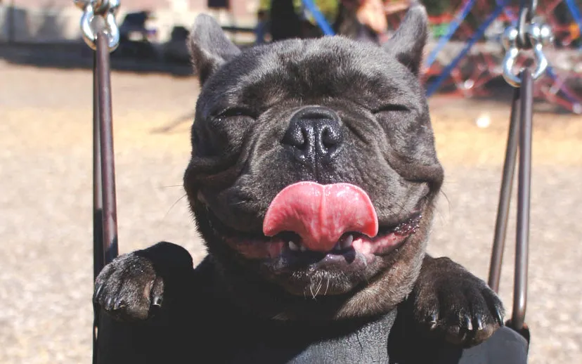 marion michele z eflp9as6s unsplash 915x518