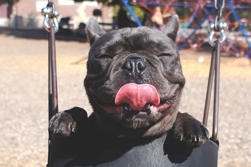 marion michele z eflp9as6s unsplash