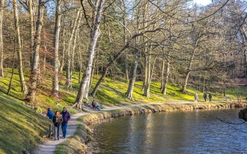 mensen hoofddorp 915x518