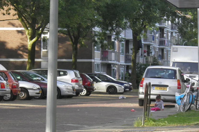 n88szctp5kouz5fpyx26ji61j p6252868