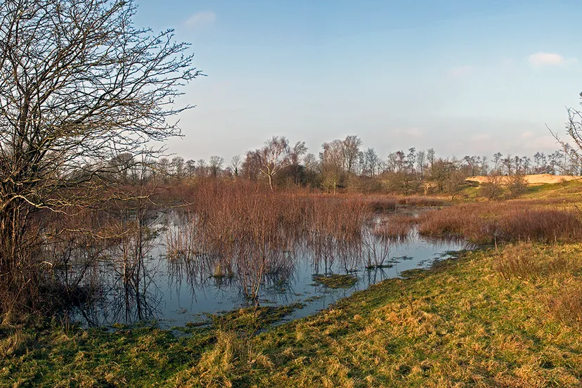 naamloos panorama1 duinen castricum cover