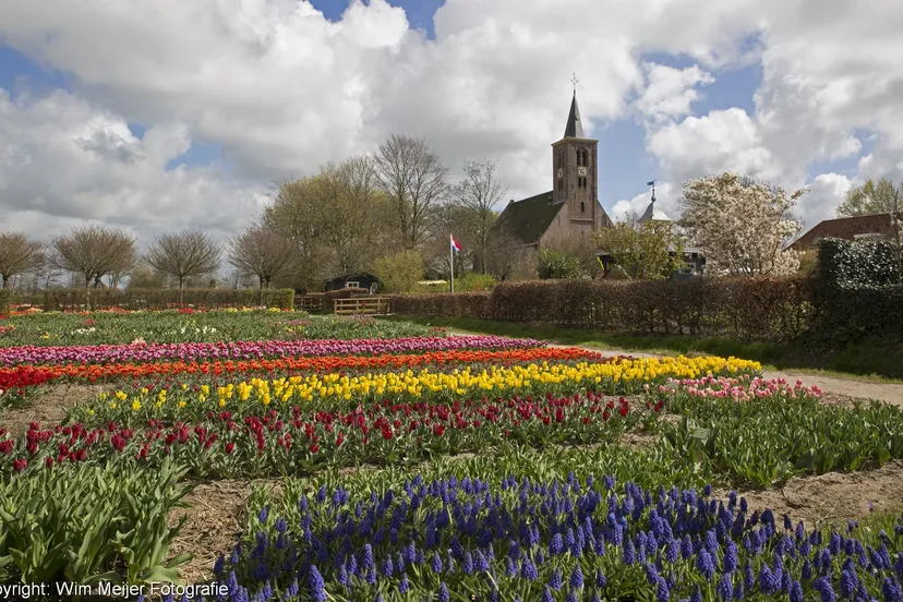 naamloos panorama2 bulborum