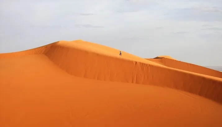 natuurdetail foto ren beentjes banner