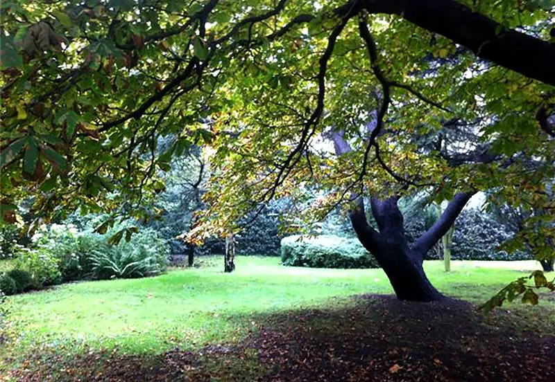 nietomkijkenorpheus 1beverwijk