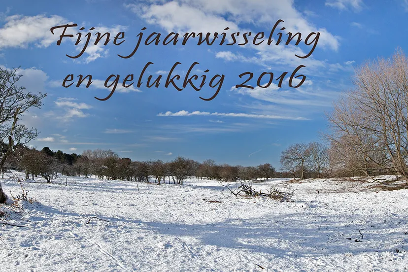 nieuwjaarskaart 2016 beverwijknieuwsnl webversie