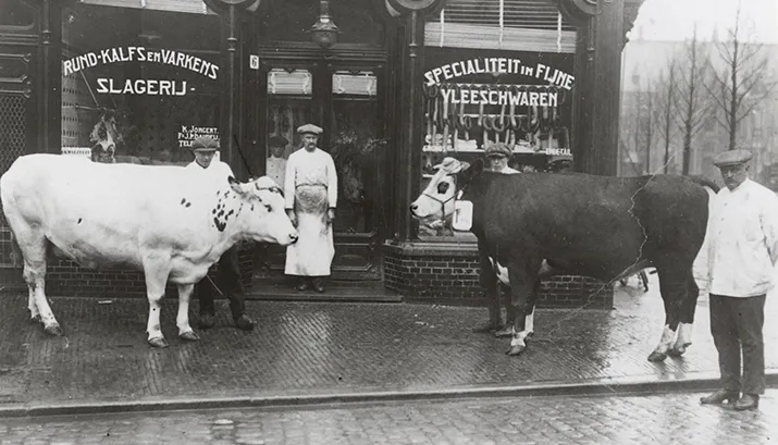 nl hlmnha hrlm 03323 peperkamp adrianus 1903 1982