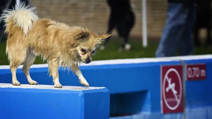 nva3daxqwtuxzez91vzx8iarr 2014 07 3017 55 31