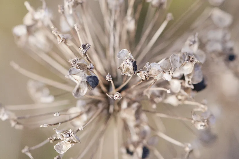 op de grens van de seizoenen