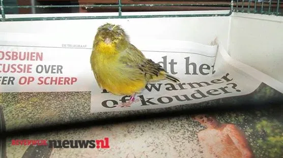 pdkzpx82xzw01qz87tyzo3m6e 2014 11 2416 18 28