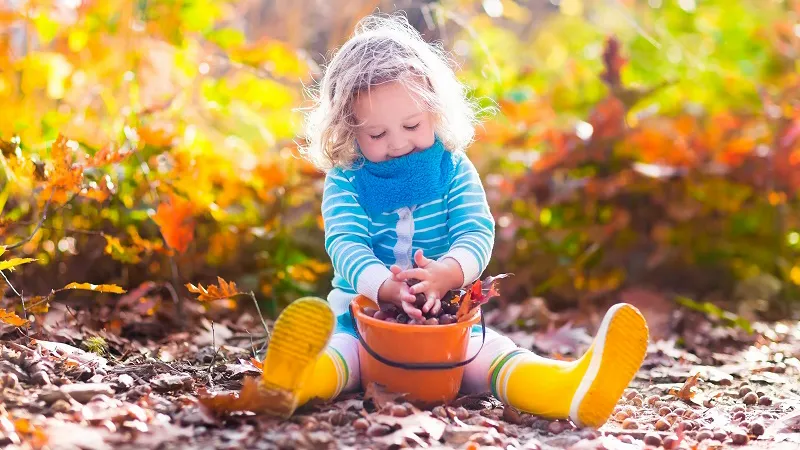 persbericht herfstverhalen in het bos