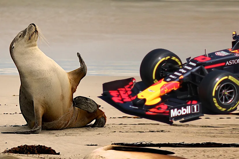 pixabay wikipedia form1