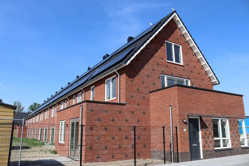 plantagebuurt fase 5