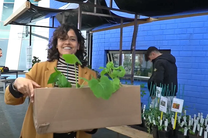 plantjesmarkt kennemer