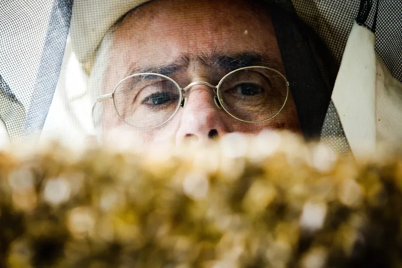 r08d7cwo5wsljbzw7enrv7a5b bijen