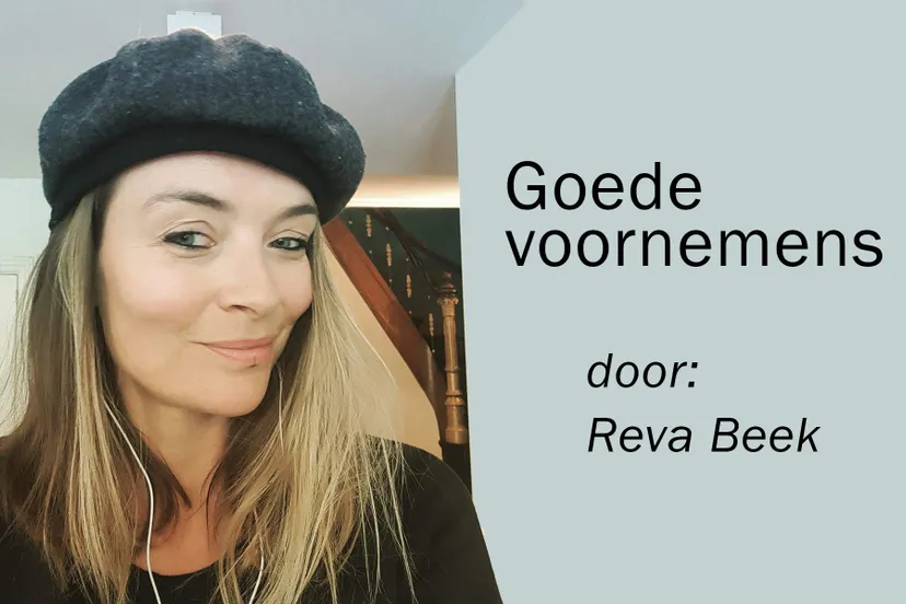reva voornemens