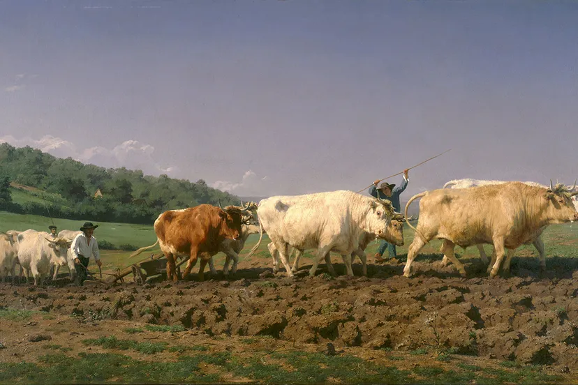 rosa bonheur ploegen in de nivernais