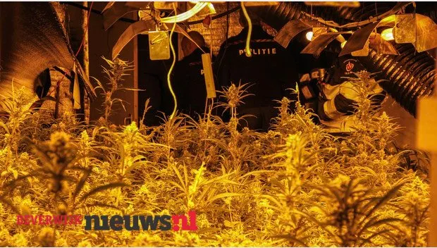 rqkgyacgjaw8y5yntz474pvr2 2014 11 0417 51 38