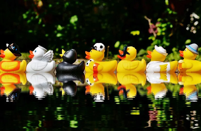 rubber ducks 1408308 960 720 pixa