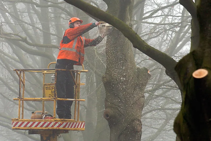 s8jfq8a3fn46f8d6helrh4inl beuken kappen