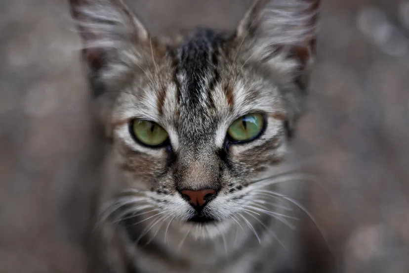 sarah khan jvirwz2fvek unsplash 1