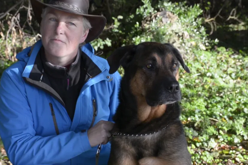 schermafbeelding 2017 01 18 om 135742