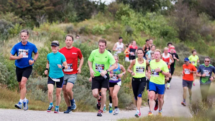 schermafbeelding 2017 06 20 om 120717