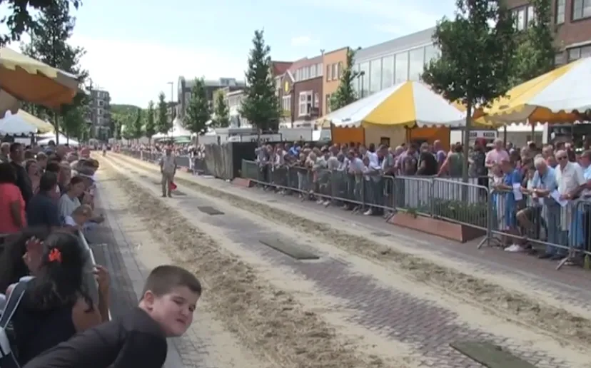 schermafbeelding 2019 08 09 om 152702