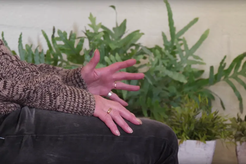 schermafbeelding 2019 11 02 om 161733