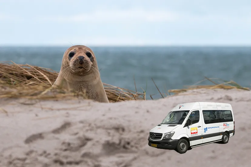 seal g2ed001018 1920 kopieren