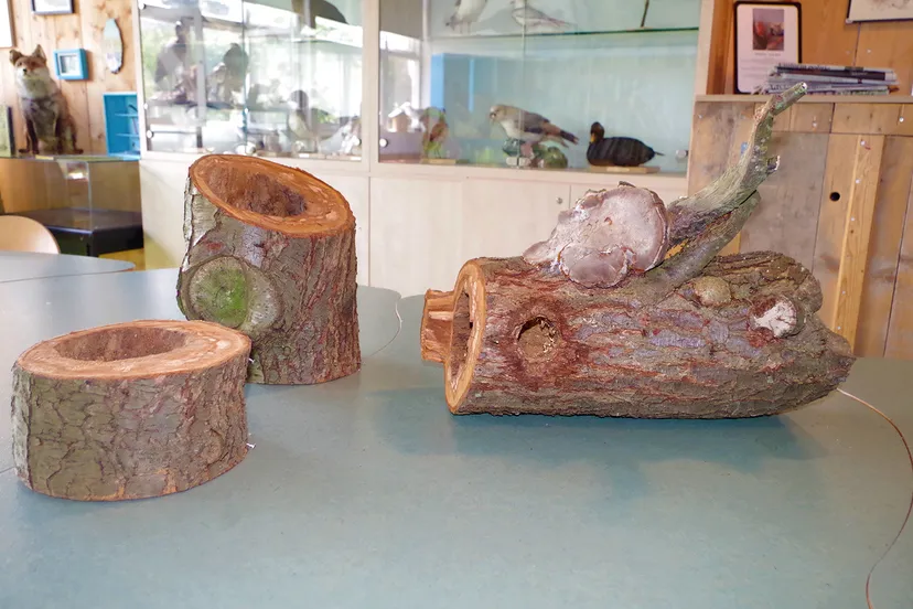 spechtennest kopieren