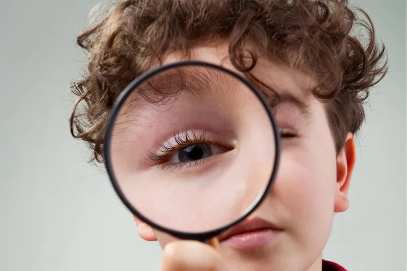 talentenlab kopieren