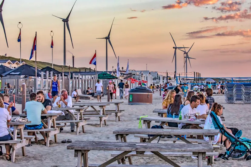 terras windmolens 915x518