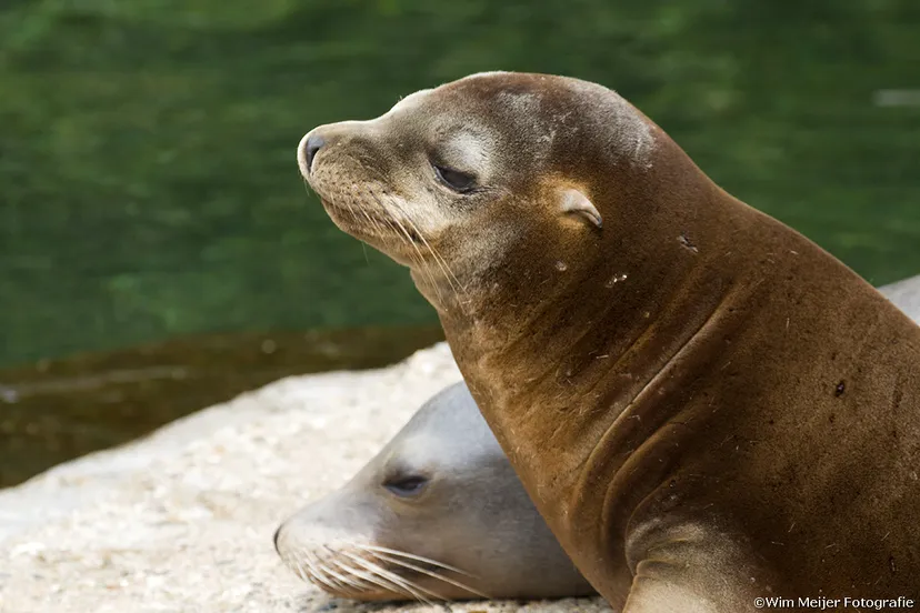 tumblr mrwct4kjcz1svvyvco6 1280