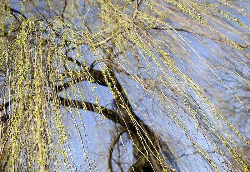 tumblr n29krfyodt1svvyvco1 1280