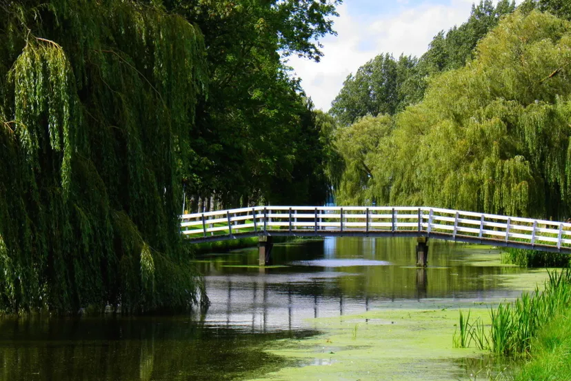 u94k36exa9g3322rjiopf94ez p8244616