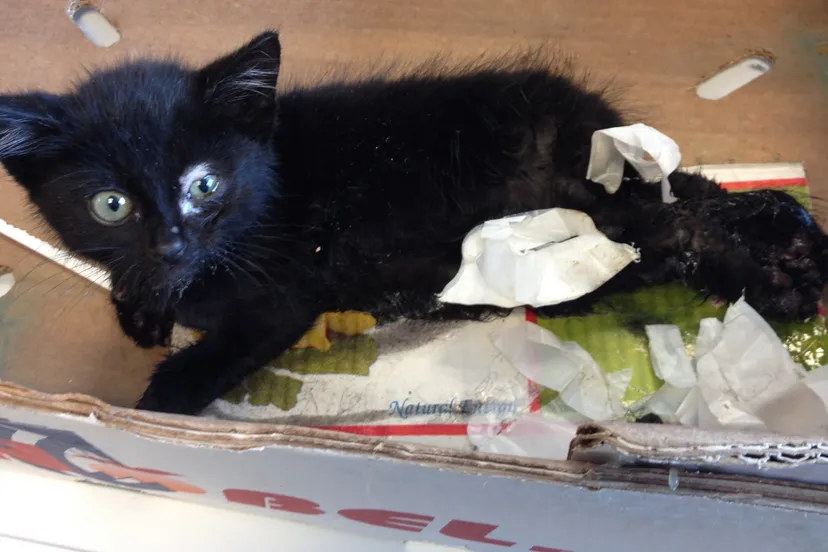 uulj2hzqxcehfzg4i2beo6iex 7487