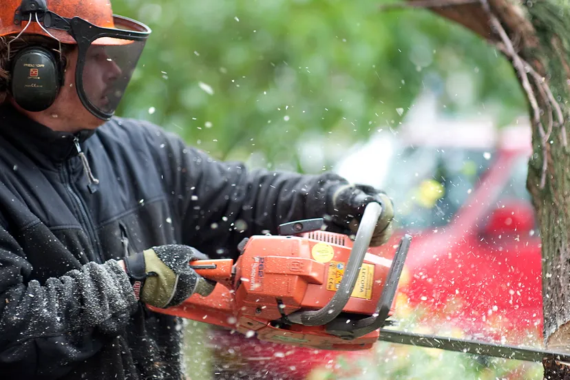 uyzlgzrpbno7hk7lt51tl4w1m hovenier