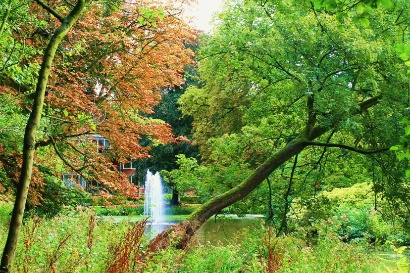 va9p68ak12s3x7fa6nn3dqezl vrijdagmorgen 29 08 2014