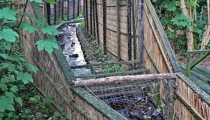 vangpijp 1klein johan stuart banner