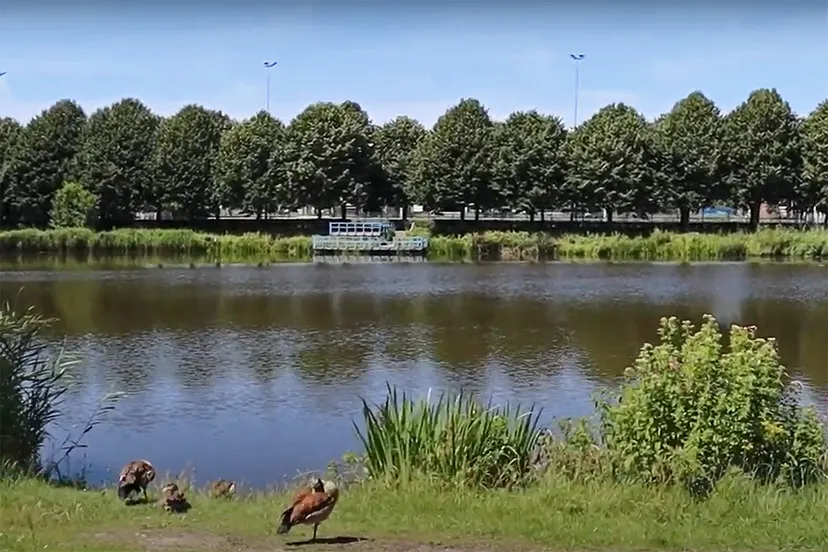 vijver sporthal beverwijk ijmond nieuws