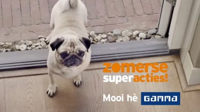 vn06xsmv5v6i6rcvy5g0xlemo 2014 12 0207 46 42