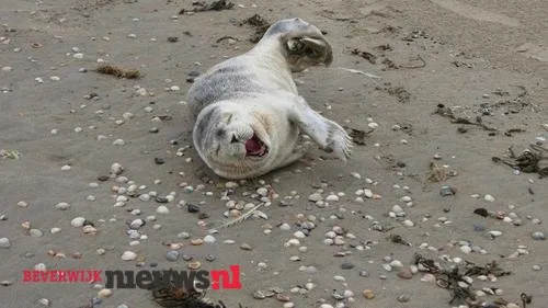 we5u9gaxc78jlesd7k2enrpwe 2014 12 1018 32 51