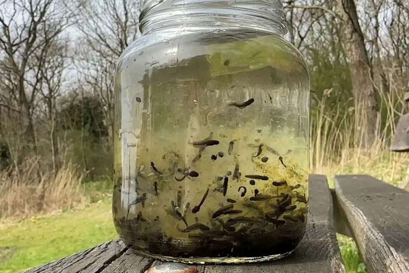 whatsapp image 2023 04 22 at 095852 1