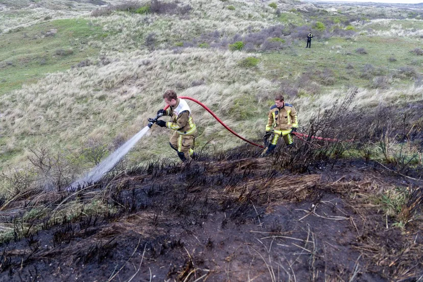 whatsapp image 2024 04 06 at 184019